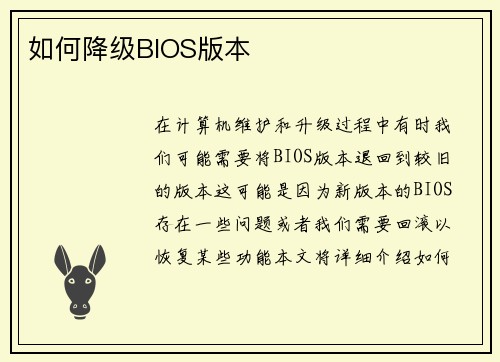 如何降级BIOS版本