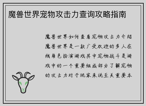 魔兽世界宠物攻击力查询攻略指南